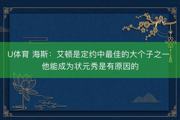 U体育 海斯：艾顿是定约中最佳的大个子之一 他能成为状元秀是有原因的