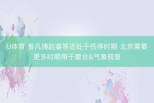 U体育 曾凡博赵睿等还处于伤停时期 北京需要更多时期用于磨合&气象规复