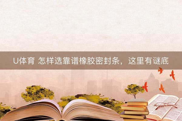U体育 怎样选靠谱橡胶密封条，这里有谜底