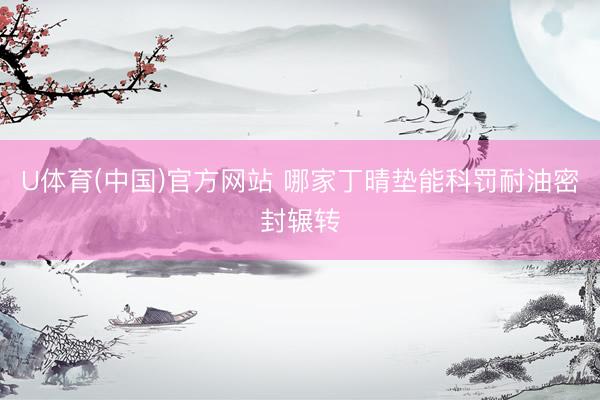 U体育(中国)官方网站 哪家丁晴垫能科罚耐油密封辗转