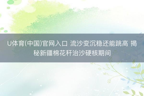 U体育(中国)官网入口 流沙变沉稳还能跳高 揭秘新疆棉花秆治沙硬核期间
