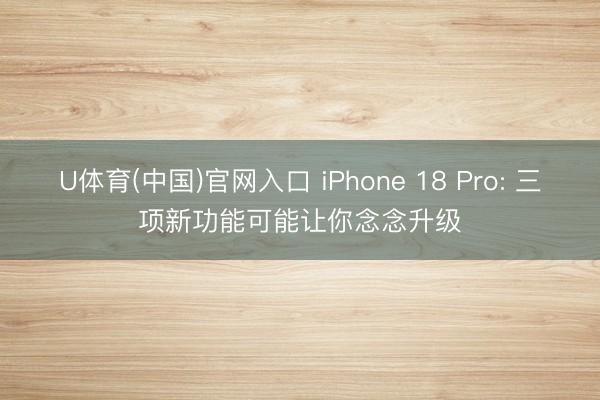 U体育(中国)官网入口 iPhone 18 Pro: 三项新功能可能让你念念升级