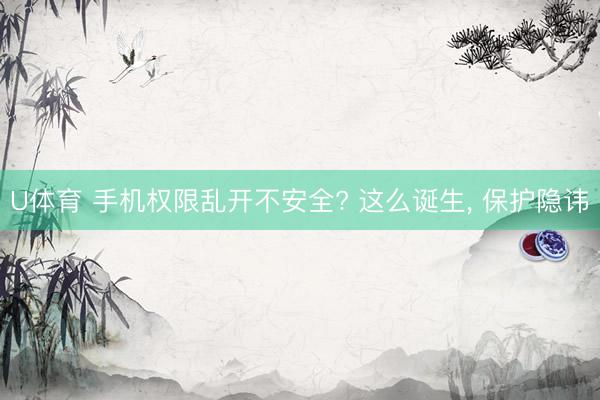 U体育 手机权限乱开不安全? 这么诞生， 保护隐讳