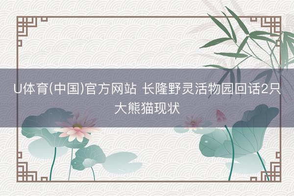 U体育(中国)官方网站 长隆野灵活物园回话2只大熊猫现状