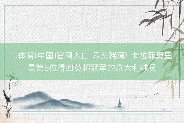 U体育(中国)官网入口 尽头稀薄! 卡拉菲奥里是第5位得回英超冠军的意大利球员