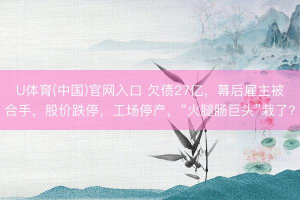 U体育(中国)官网入口 欠债27亿，幕后雇主被合手，股价跌停，工场停产，“火腿肠巨头”栽了？