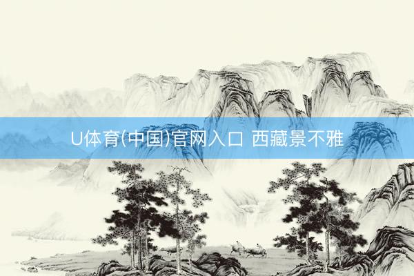 U体育(中国)官网入口 西藏景不雅