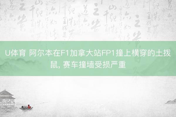 U体育 阿尔本在F1加拿大站FP1撞上横穿的土拨鼠， 赛车撞墙受损严重