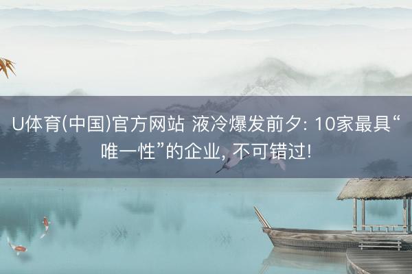 U体育(中国)官方网站 液冷爆发前夕: 10家最具“唯一性”的企业, 不可错过!