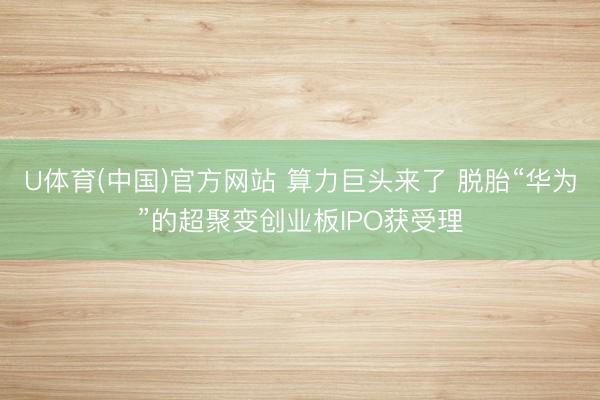 U体育(中国)官方网站 算力巨头来了 脱胎“华为”的超聚变创业板IPO获受理