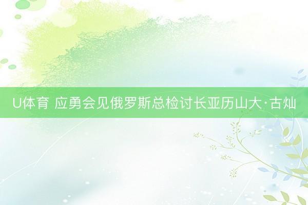 U体育 应勇会见俄罗斯总检讨长亚历山大·古灿