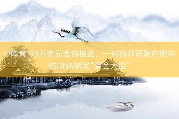 U体育 63万余元金饰被盗，一对摈弃雨靴内胆中的DNA锁定“黄金大盗”