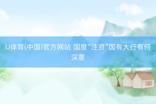 U体育(中国)官方网站 国度“注资”国有大行有何深意