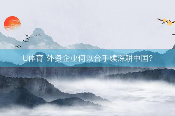 U体育 外资企业何以合手续深耕中国？