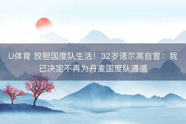 U体育 放胆国度队生活!32岁诺尔高自宣:我已决定不再为丹麦国度队遵循