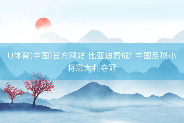 U体育(中国)官方网站 比亚迪赞成! 中国足球小将意大利夺冠
