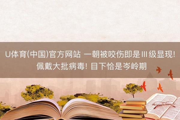 U体育(中国)官方网站 一朝被咬伤即是Ⅲ级显现! 佩戴大批病毒! 目下恰是岑岭期