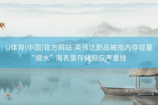 U体育(中国)官方网站 英伟达新品被指内存容量“缩水” 海表里存储股应声重挫