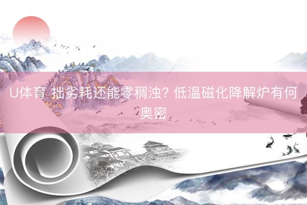 U体育 拙劣耗还能零稠浊? 低温磁化降解炉有何奥密