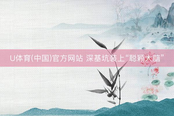 U体育(中国)官方网站 深基坑装上“聪颖大脑”