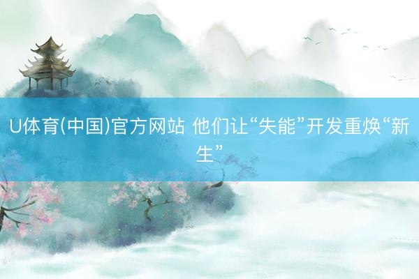 U体育(中国)官方网站 他们让“失能”开发重焕“新生”