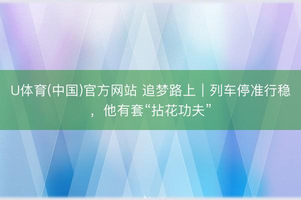 U体育(中国)官方网站 追梦路上｜列车停准行稳，他有套“拈花功夫”