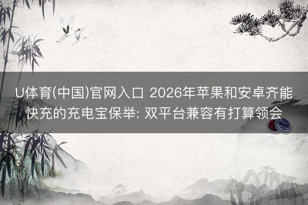 U体育(中国)官网入口 2026年苹果和安卓齐能快充的充电宝保举: 双平台兼容有打算领会