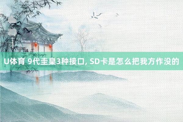 U体育 9代圭臬3种接口, SD卡是怎么把我方作没的