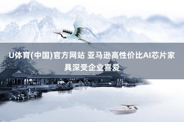 U体育(中国)官方网站 亚马逊高性价比AI芯片家具深受企业喜爱